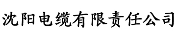 久久成人小视频电缆厂logo